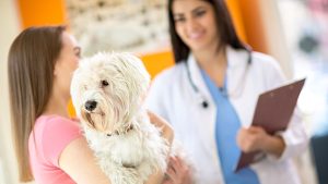 انگل های گوارشی سگ ها؛ علائم و درمان