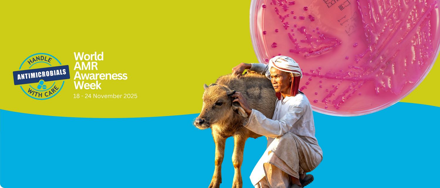 مقاومت آنتی بیوتیکی; هفته آگاه سازی مقاومت ضدمیکروبی 2025 (WAAW)