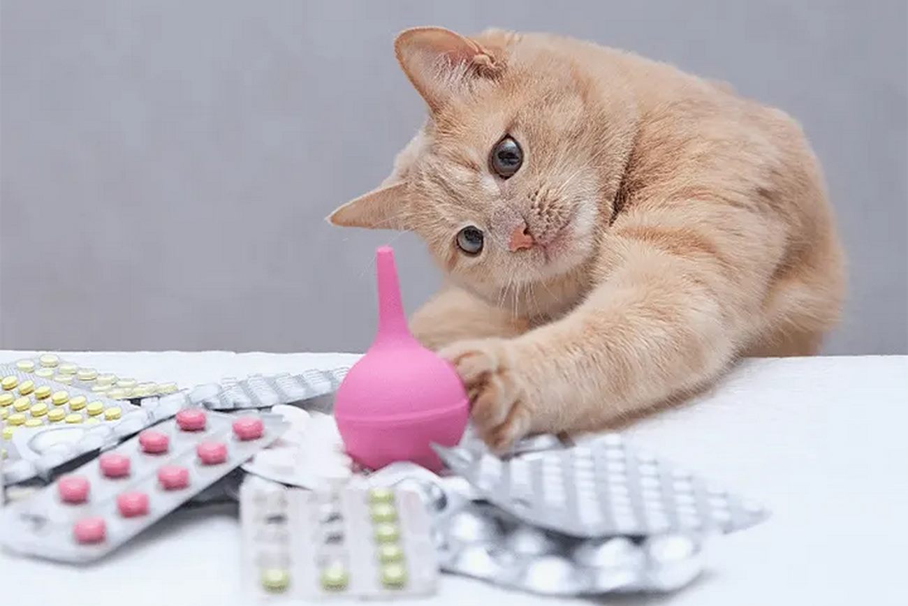 تداخلات دارویی با آنتی‌بیوتیک‌ها در دامپزشکی؛ نگاهی عمیق، تحلیلی و کاربردی