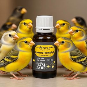 مدیریت پرورش قناری؛ راهنمایی جامع برای علاقه‌مندان و پرورش‌دهندگان